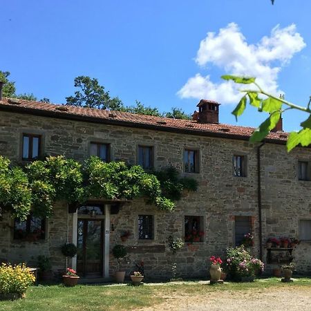 Villa Casina Della Burraia Subbiano Exterior foto